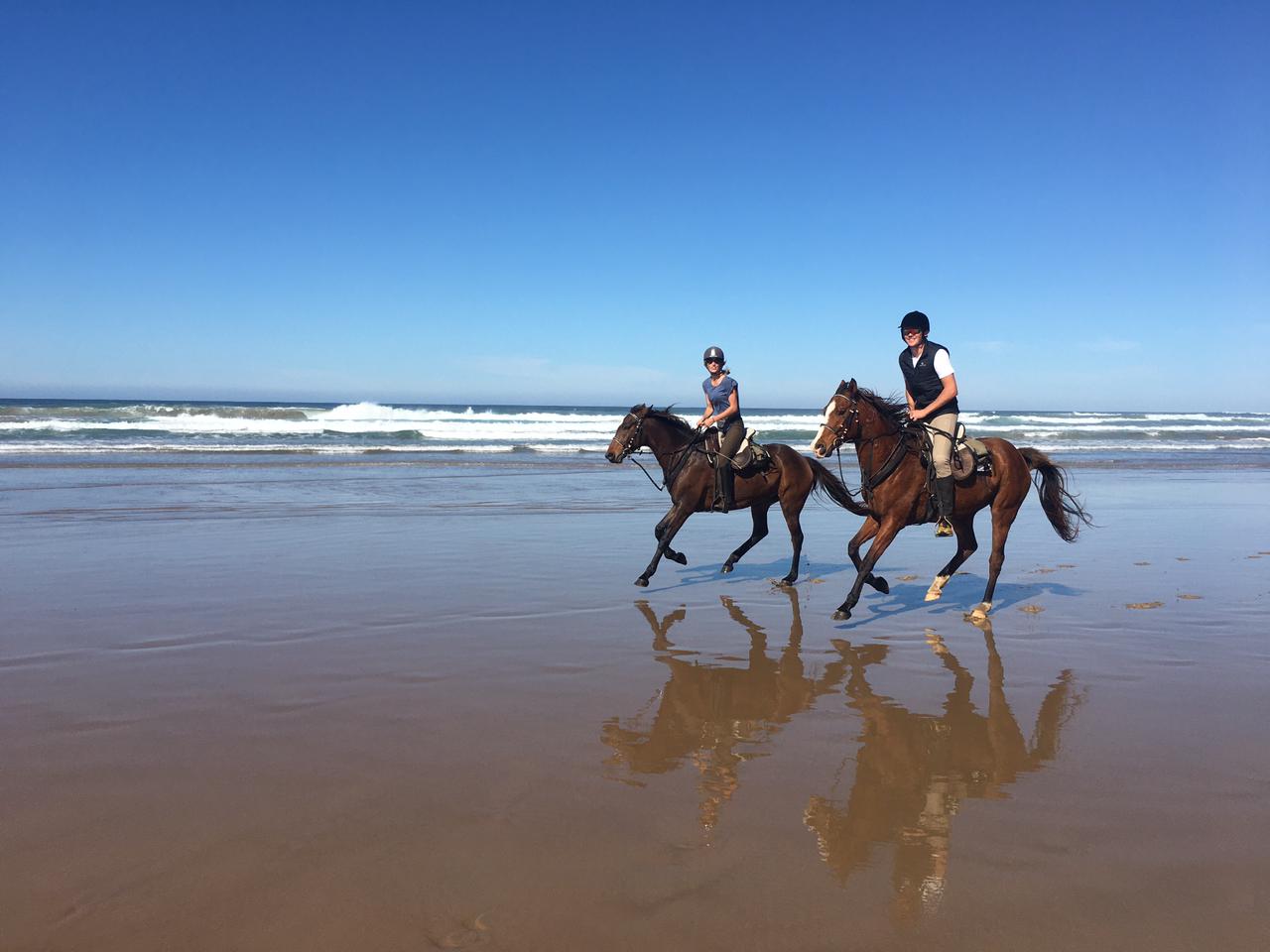 Wild Coast Horse Riding Adventures